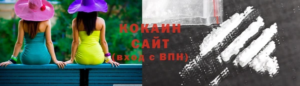 ешки Алзамай