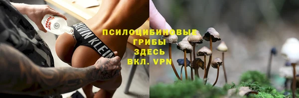 ешки Алзамай