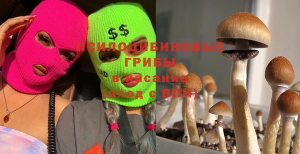 экстази Алексеевка