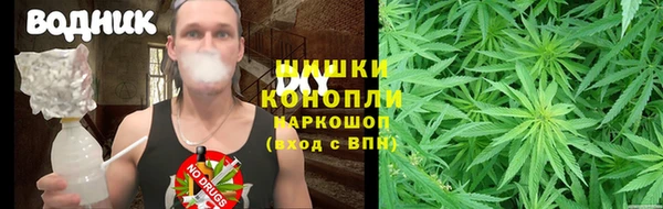 ешки Алзамай